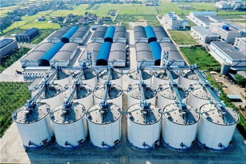 湖南春耕 不只是泥巴味，更是技術服務的芬芳